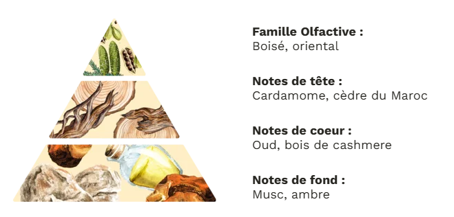 Bois de oud parfum maison non toxique