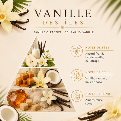 Bougie en cire végétale sans paraffine ni toxines